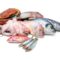 Seafood