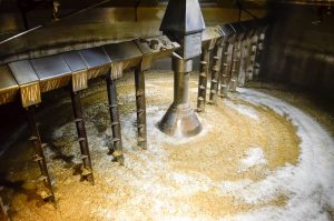 Fermentation Process of Whisky