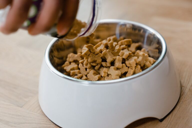 Galaxy Scientific Launches Companion NIR For Feed Website