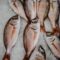 Seafood Adulterant Analysis